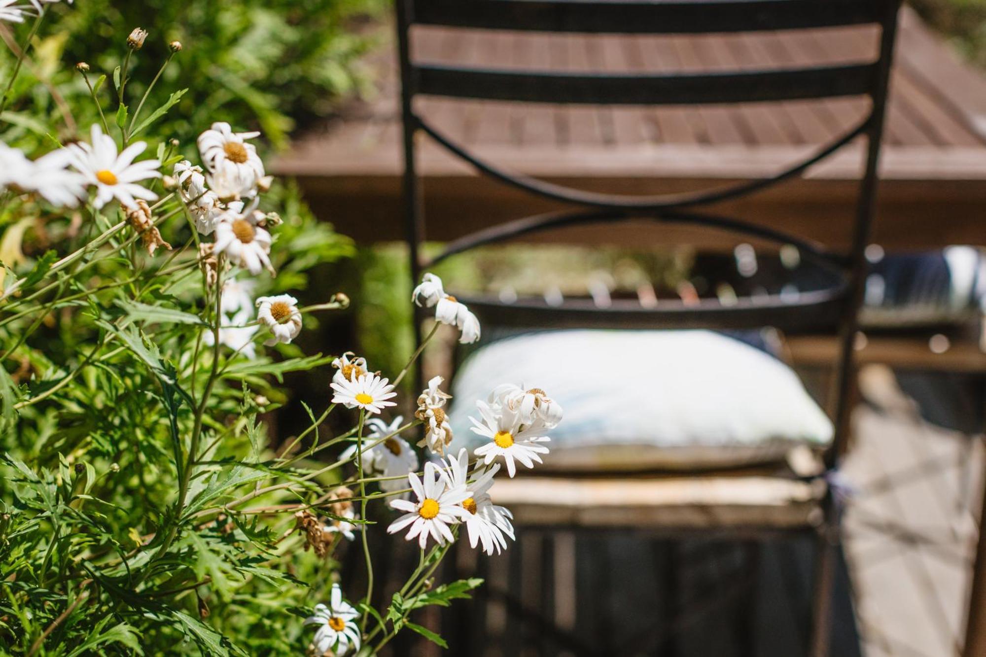 Haumoana Herb Cottage Eksteriør bilde